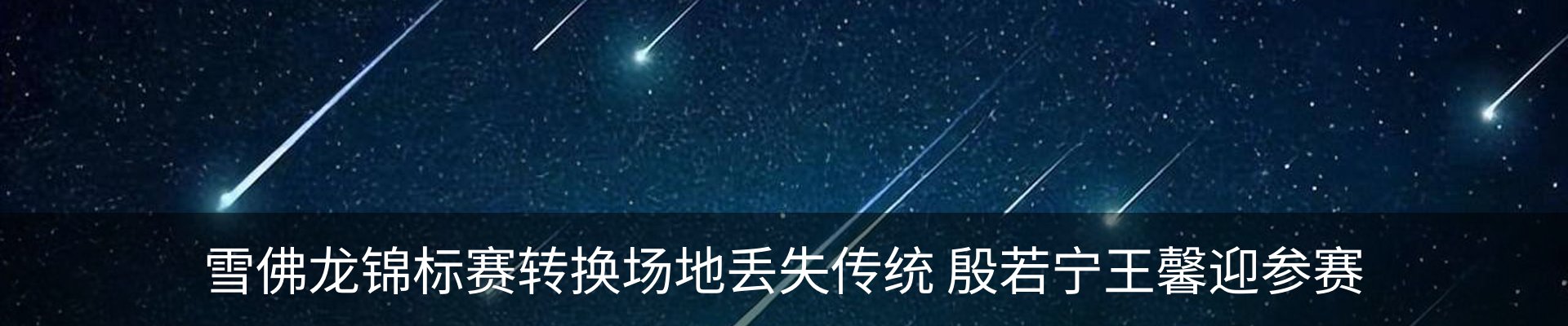 最新动态